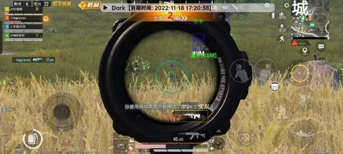 和平精英怎么多开辅助器（和平精英怎么开无敌辅助器）
